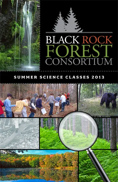 black rock forest summer science classes