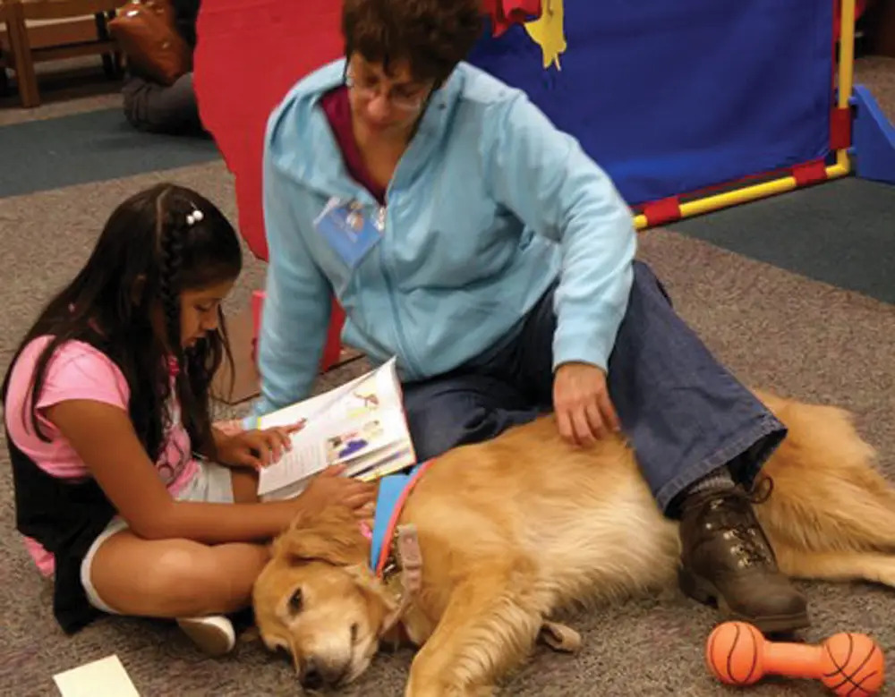 reading to a dog