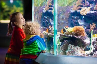 boy-and-girl-aquarium