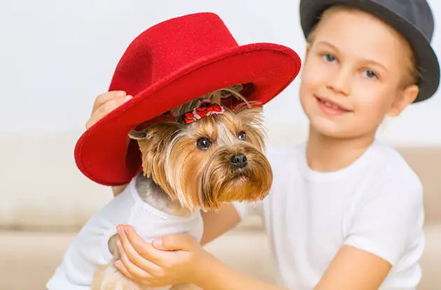 boy dressing up dog