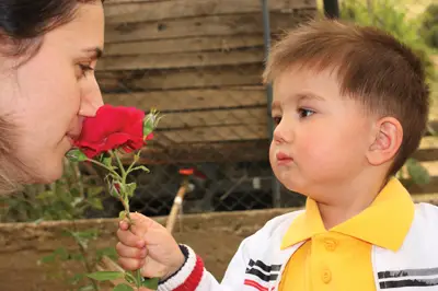 little boy giving mother a flower