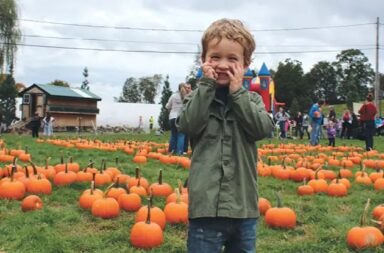 boy-pumpkin-picking-fall