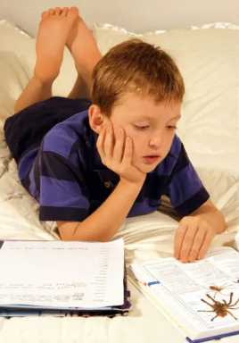 boy-readNEW