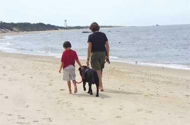 boy-service-dog-beach