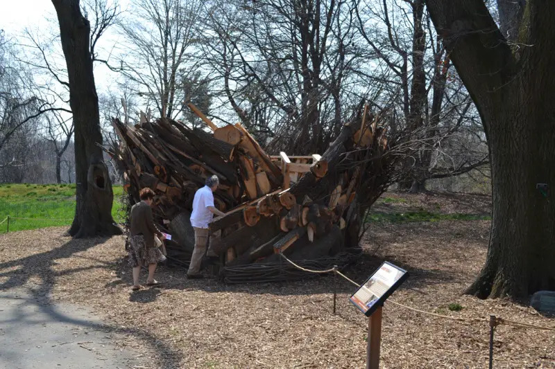 brooklyn botanic garden tree house instillation