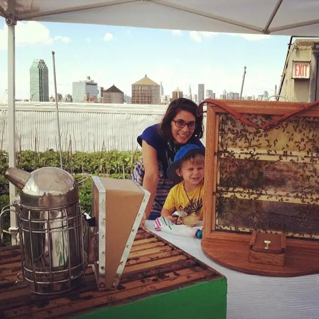 family farm day brooklyn grange city growers