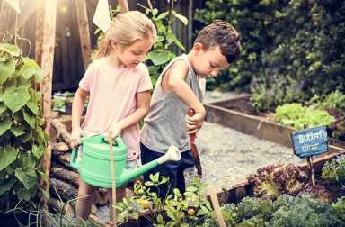 brooklyn-recycled-garden