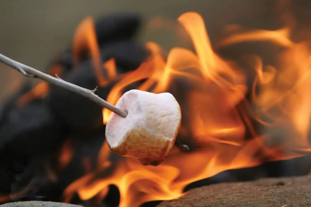 campfire toasting marhsmallows