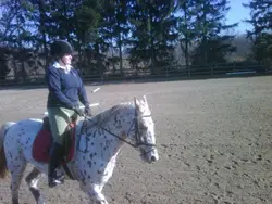 Greenlawn Equestrian Center, horseback riding lessons, huntseat rider