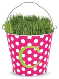 chasing fireflies grow your own grass bucket