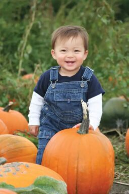 child-in-pumpkin-patch