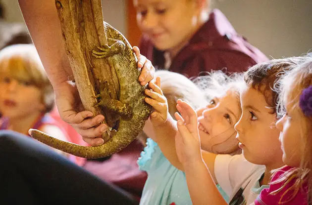 children at outragehiss pets with lizard