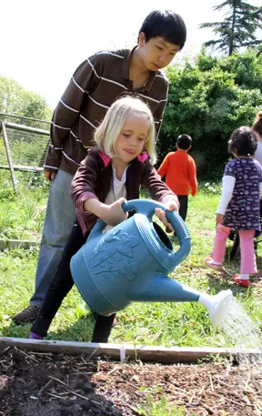 hsbc children's garden at queens botanical garden