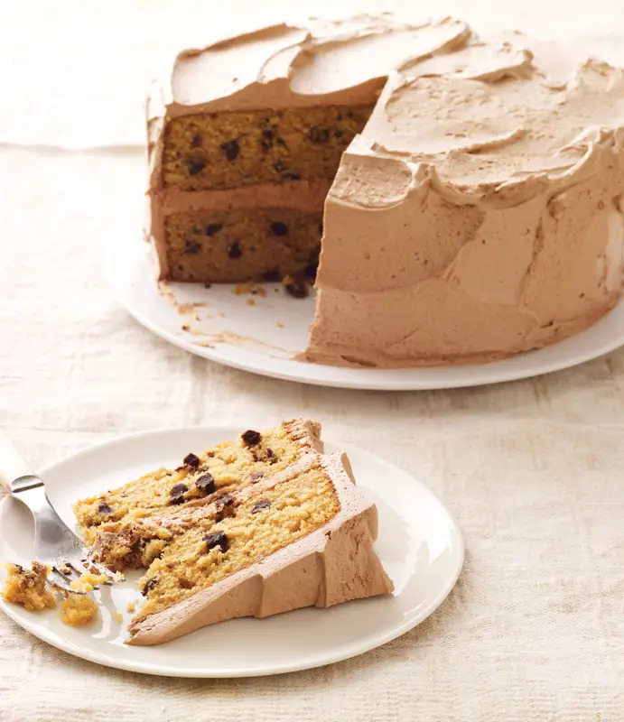 chocolate chip layer cake with chocolate mocha frosting