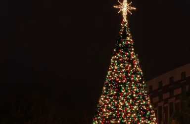 christmas-tree-bigstock