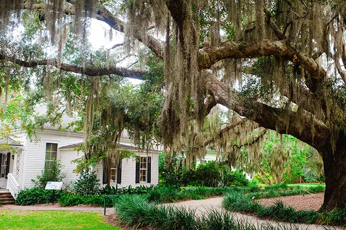 coastal discovery museum hilton head island