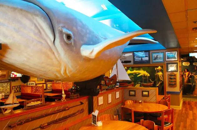 Cooper's Seafood House whale room