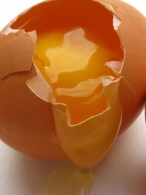 cracked egg