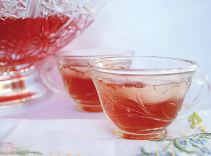 cranberry splash punch