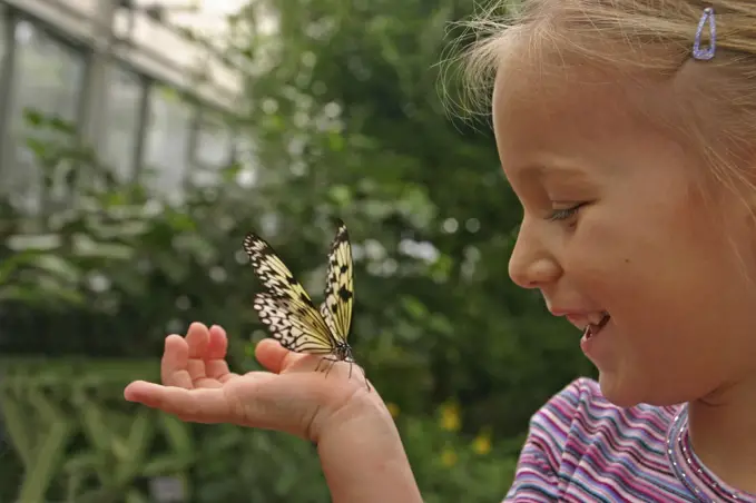 Curious Child with Butterfly