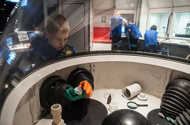 boy looking at exhibit