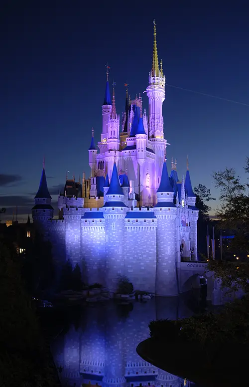 walt disney world castle at night