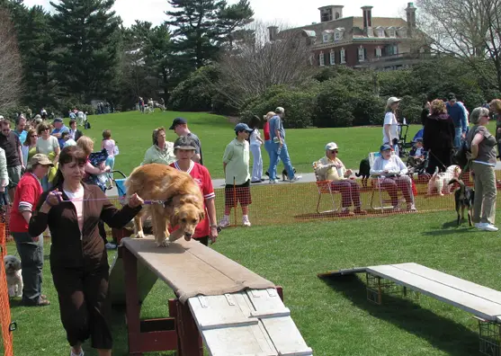 dog days at old westbury gardens