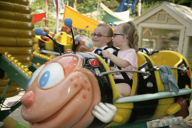 dollywood busy bees