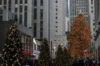 donemanhattan