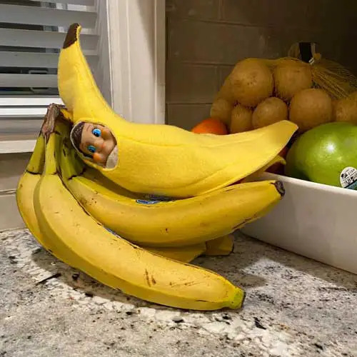 elf on the shelf banana