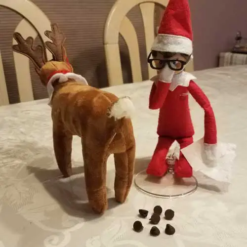 elf on the shelf reindeer poop