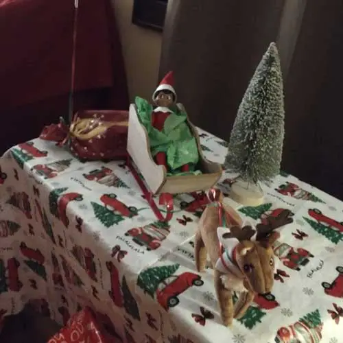 elf on the shelf in sleigh