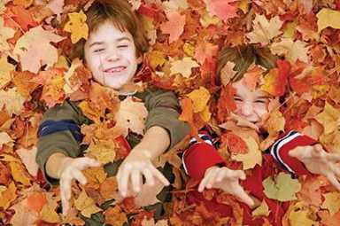 fall-foliage