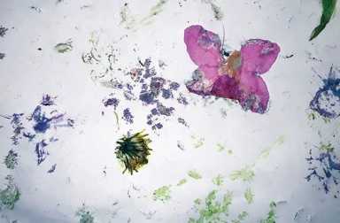 flower-art-project