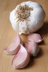 garlic