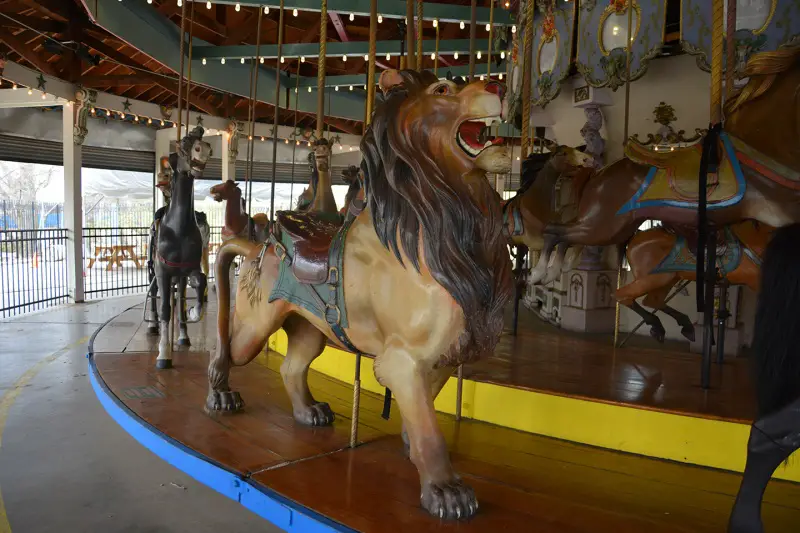 lion on the forest park carousel