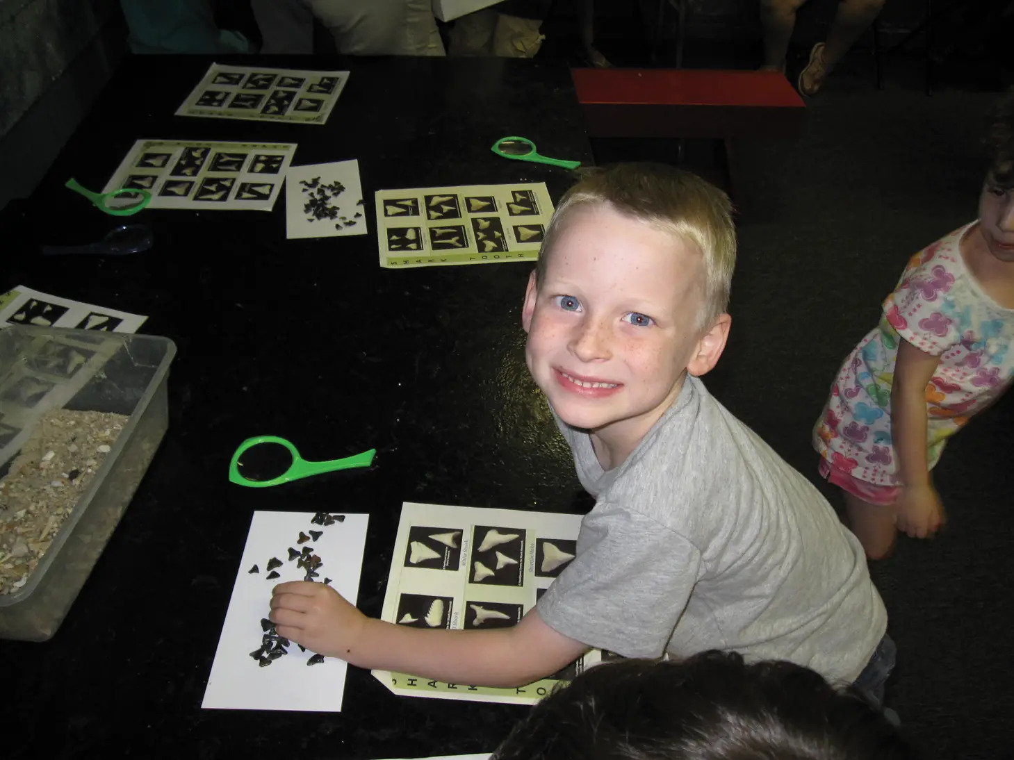 Fossilfest at Cold Spring Harbor Whaling Museum