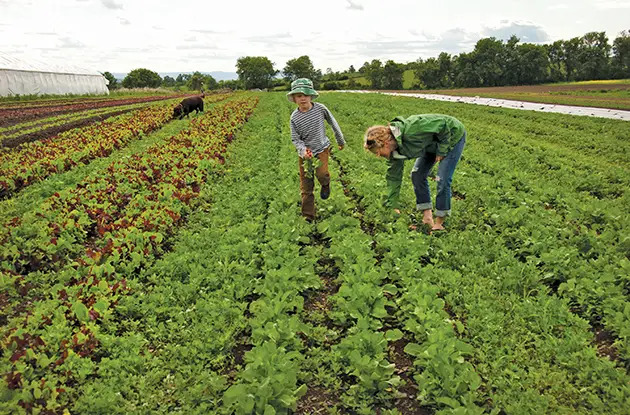 kids on a farm