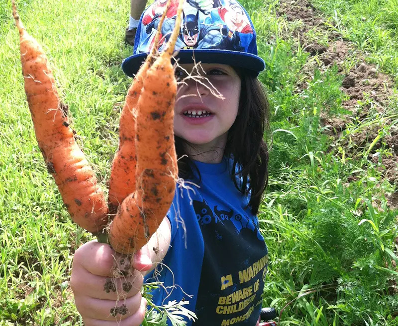 fresh carrots