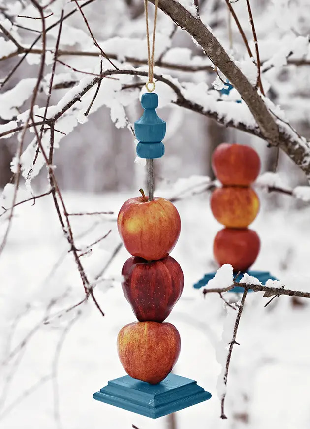 fruit bird feeder