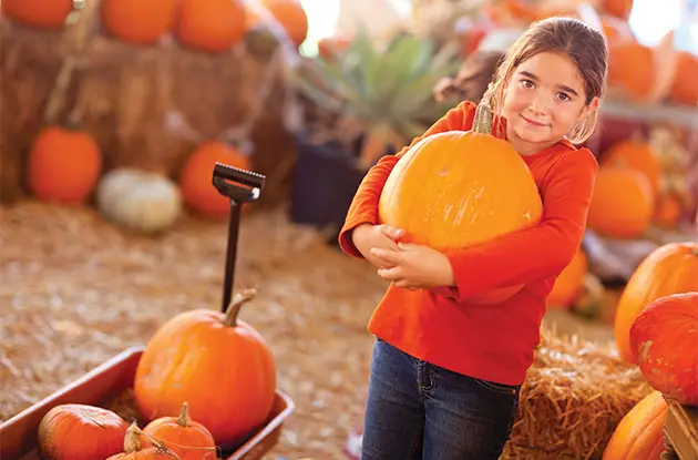 girl picking pumpkin