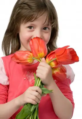 little girl smells tulips; cultivate good smells