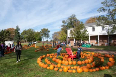 governors-island-pumpkin-point