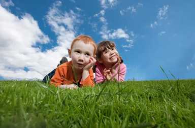 grass