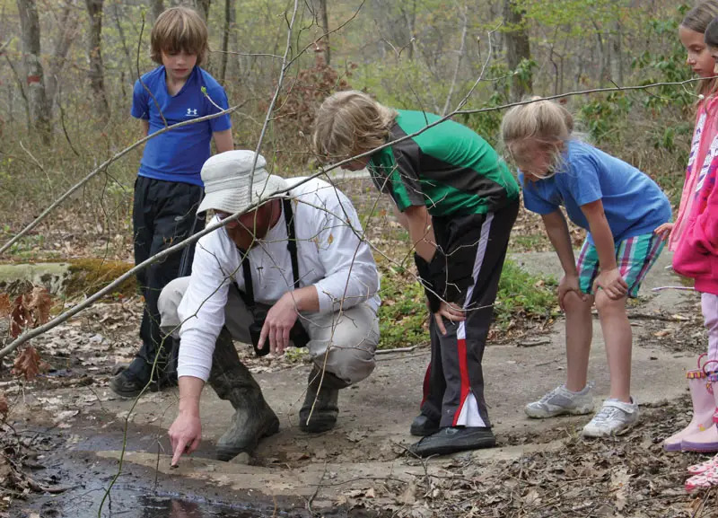 green chimneys nature program for kids