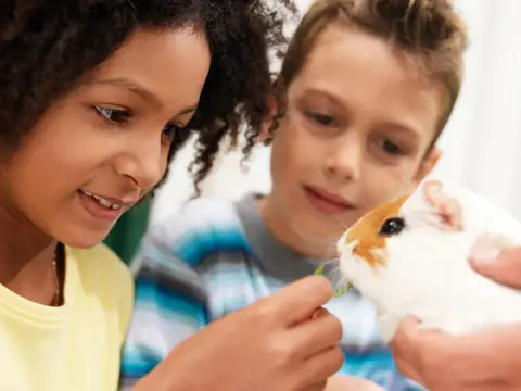 kids with guinea pig