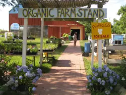organic farm stand; fresh eggs for sale; view of farm stand in summer; Garden of Eve Organic Farm in Riverhead, Long Island, NY