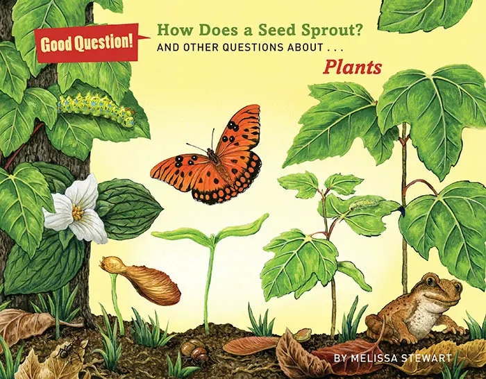 how does a seed sprout book cover