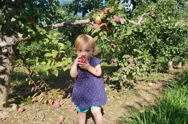 child eating apple