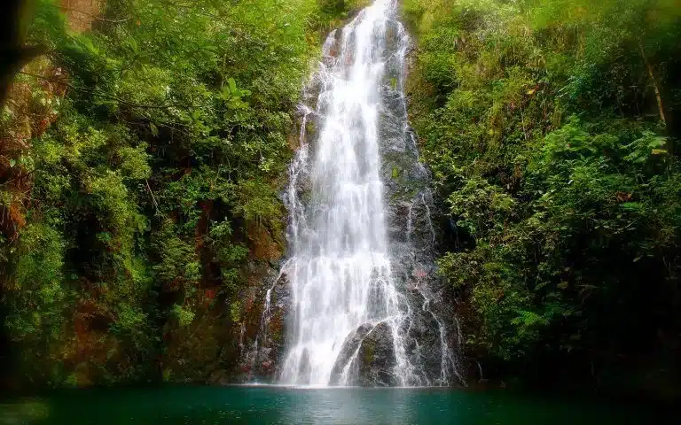 belize waterfall